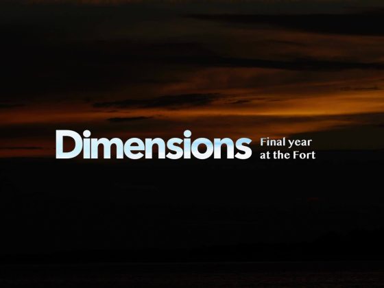 Dimensions Festival 2019